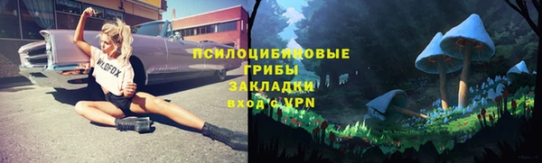 мескалин Арсеньев