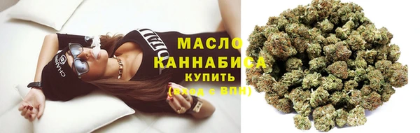 шишки Аркадак