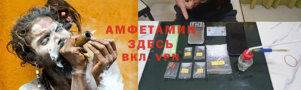 шишки Аркадак