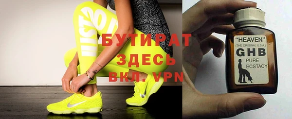 шишки Аркадак