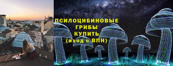 шишки Аркадак