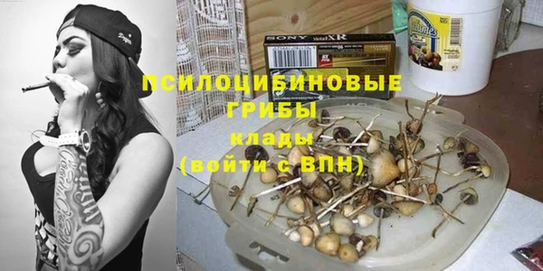 мескалин Арсеньев