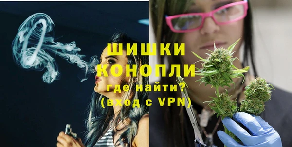 шишки Аркадак