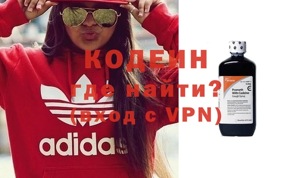 шишки Аркадак